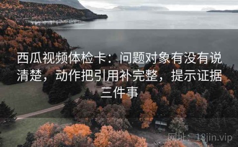 西瓜视频体检卡：问题对象有没有说清楚，动作把引用补完整，提示证据三件事