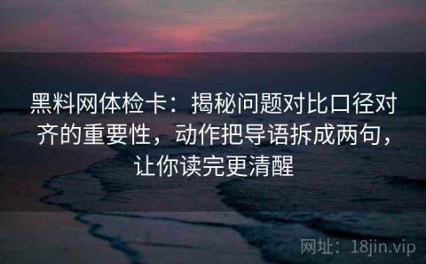 黑料网体检卡：揭秘问题对比口径对齐的重要性，动作把导语拆成两句，让你读完更清醒