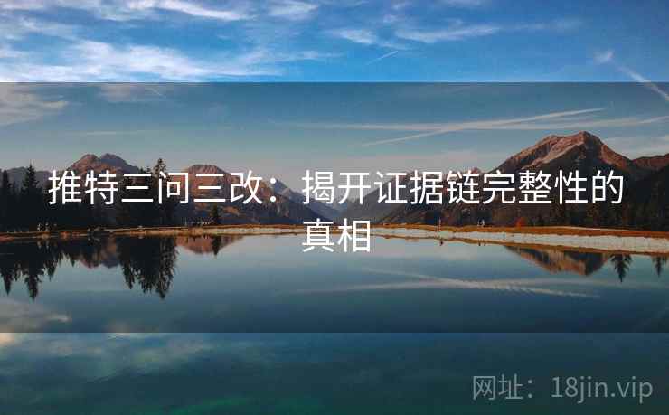 推特三问三改:揭开证据链完整性的真相 推特三问三改:揭开证据链完整性的真相